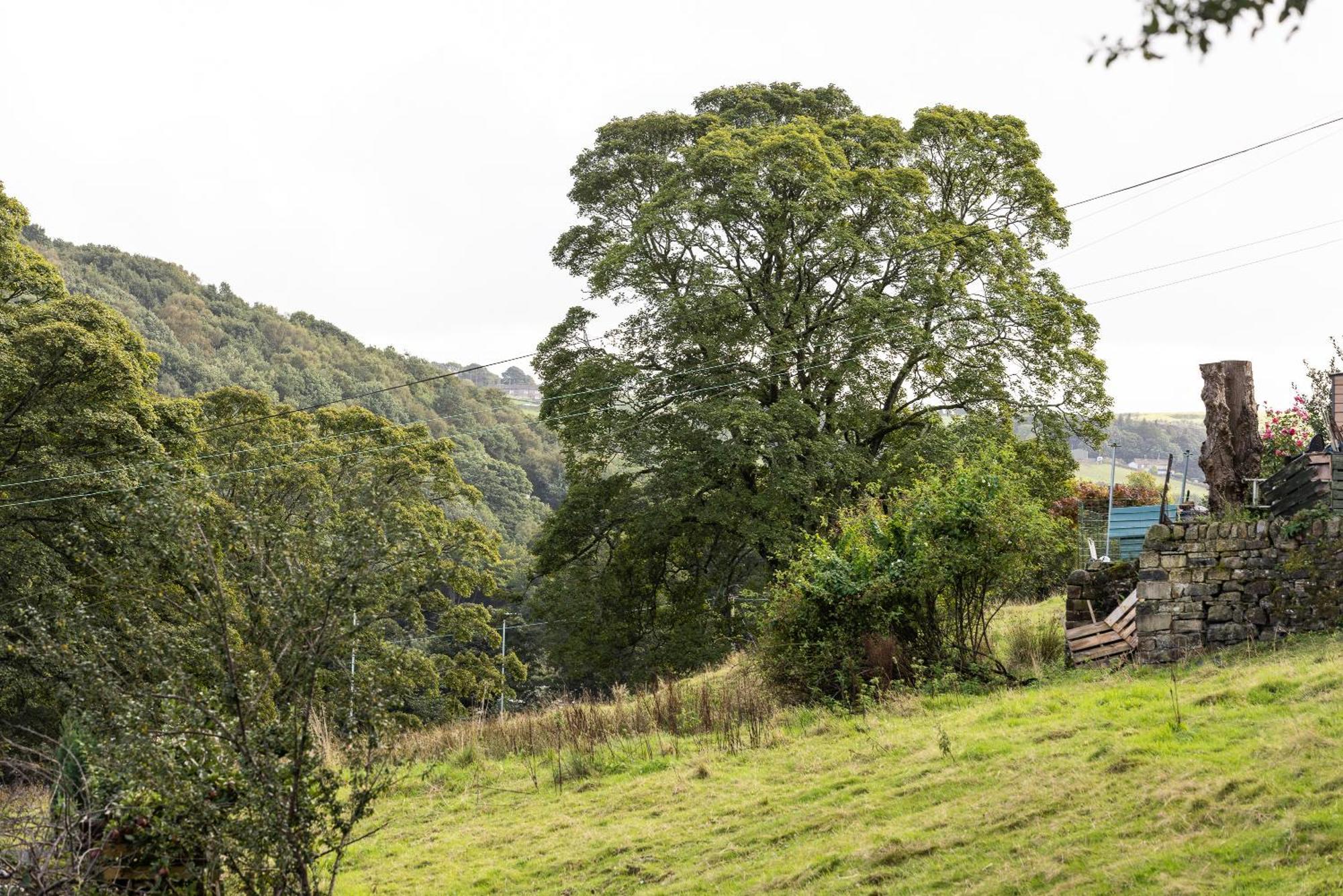 The Wagon Shed Villa Sowerby Bridge Exteriör bild